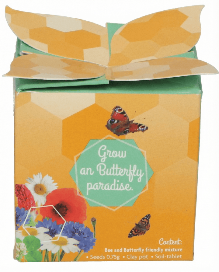 Insect Mix Terracotta Pot Gift Set seeds – grow kit