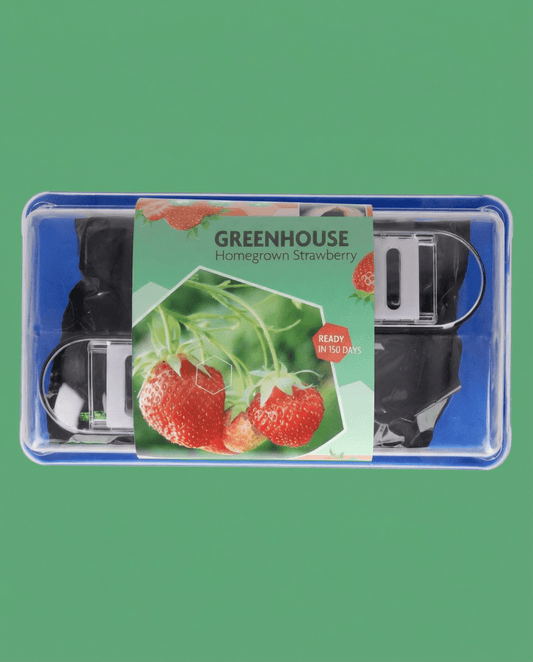 Strawberry Grandian F1 Greenhouse (Fragaria × ananassa) – perennial grow kit seeds from SeedsChoice