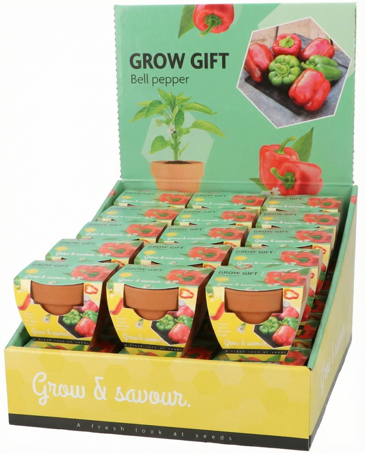 Bell Pepper Terracotta Pot (Capsicum annuum) – grow kit seeds from SeedsChoice