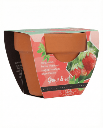 Riippuva mansikka (Fragaria × ananassa) – monivuotiset siemenet SeedsChoicelta
