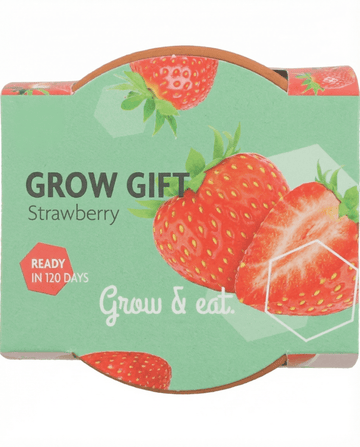 Riippuvan mansikan siemenet (Fragaria × ananassa) – monivuotinen