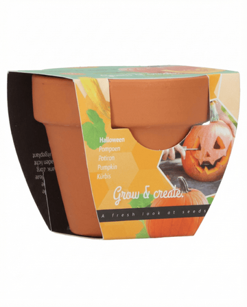 Halloween-kurpitsa (Cucurbita pepo) – kasvupaketti siemenet SeedsChoicelta