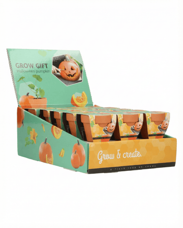 Halloween-kurpitsansiemenet – kasvupaketti SeedsChoicelta