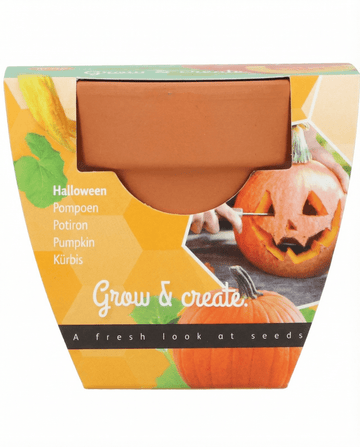Halloween-kurpitsansiemenet (Cucurbita pepo) – kasvupaketti
