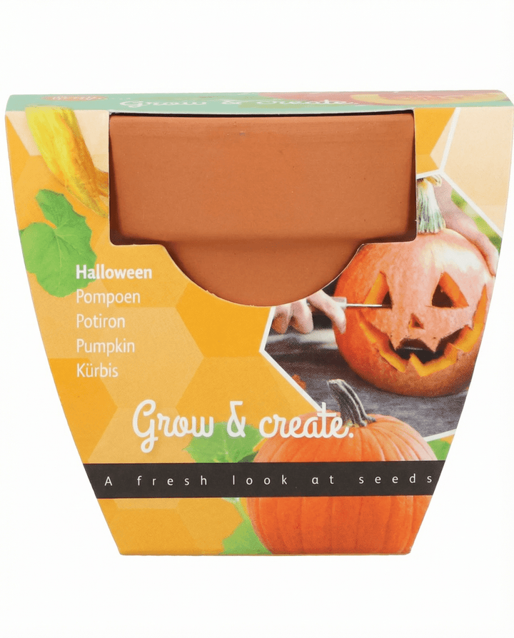 Halloween-kurpitsansiemenet (Cucurbita pepo) – kasvupaketti
