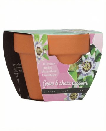 Passiflora-lahjakasvipakkaus terrakottaruukku 30 pakkaus – kasvatussetti SeedsChoice-kaupasta