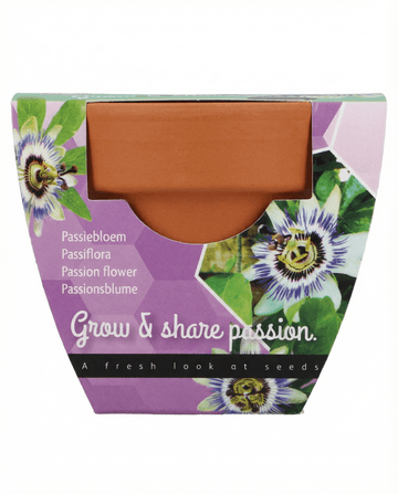 Passiflora-lahjakasvipakkaus terrakottaruukku 30 siemenen pakkaus – kasvatussetti SeedsChoice-kaupasta