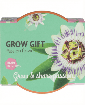 Passiflora-lahjakasvipakkaus terrakottaruukku 30 pakkaus – kasvatussetin siemenet SeedsChoice-kaupasta