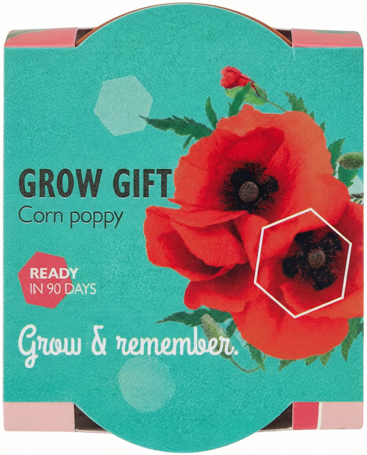 Corn Poppy Terracotta Pot seeds (Papaver rhoeas) – annual grow kit