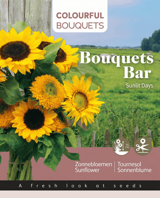 Auringonkukka 75 Cm Bouquet Mix (Helianthus annuus) – yksivuotiset kukkasiemenet SeedsChoicelta