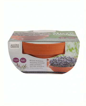 Red Mizuna Microgreens Terracotta Vegetables siemenet (Brassica japonica) – kasvatuspakkaus