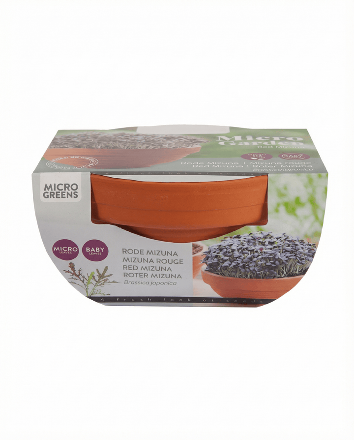 Red Mizuna Microgreens Terracotta Vegetables siemenet (Brassica japonica) – kasvatuspakkaus