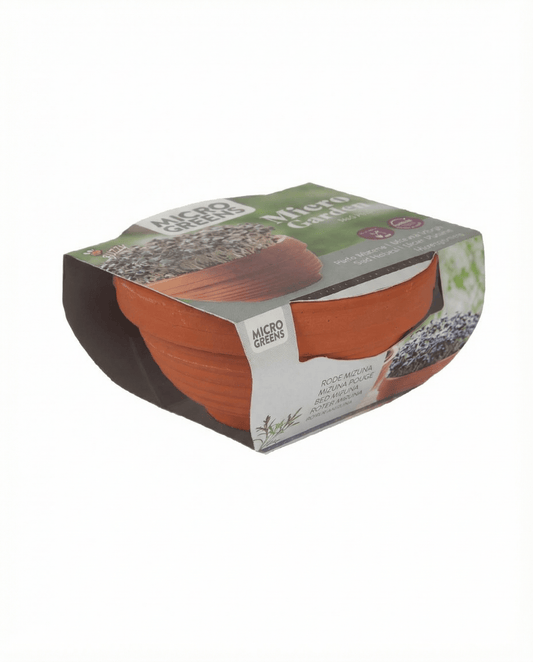 Red Mizuna Microgreens Terracotta Vegetables (Brassica japonica) – kasvatuspakkauksen siemenet SeedsChoicelta