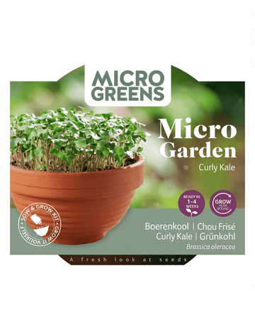 Curly Kale Microgreens Terracotta Dish -siemenet (Brassica oleracea) – kasvupakkaus