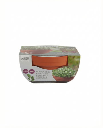 Curly Kale Microgreens Terracotta Dish (Brassica oleracea) – kasvupakkauksen siemenet SeedsChoice-kaupasta