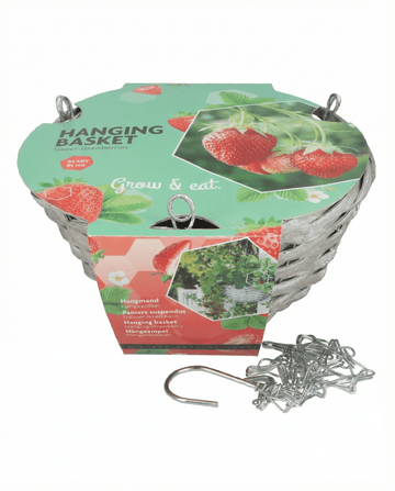 Riippukorimansikka Temptation (Fragaria × ananassa) – kasvupaketti SeedsChoicelta