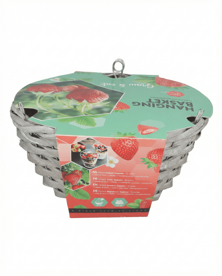 Hanging Basket Strawberry Temptation seeds (Fragaria × ananassa) – grow kit