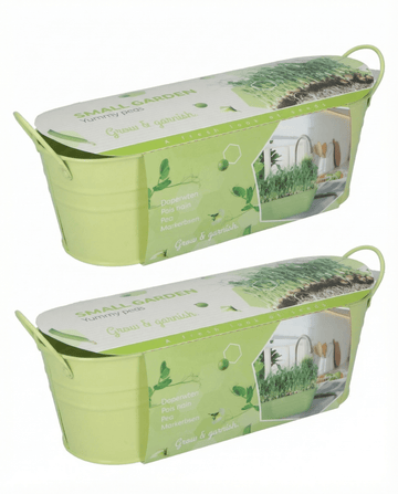 Herne Stardust microgreens-siemenet (Pisum sativum) – microgreens