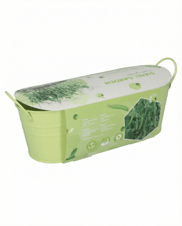 Herne Stardust microgreens (Pisum sativum) – microgreens-siemenet SeedsChoicelta