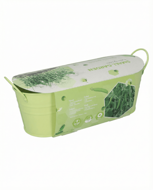 Herne Stardust microgreens (Pisum sativum) – microgreens-siemenet SeedsChoicelta