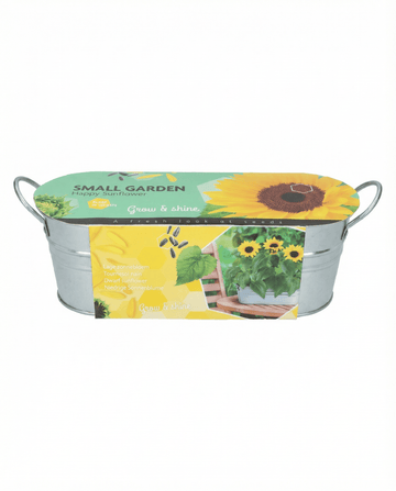 Dwarf Sunflower Low Growing -siemenet – kukkasiemenet, SeedsChoice