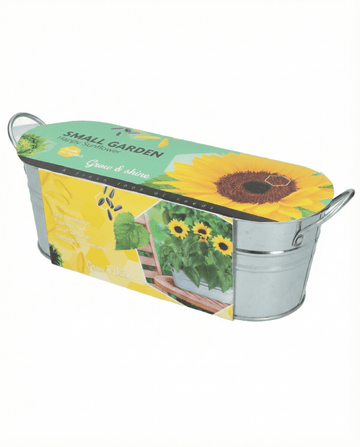 Dwarf Sunflower Low Growing -siemenet (Helianthus annuus) – kukkasiemenet