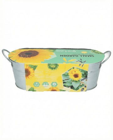 Dwarf Sunflower Low Growing (Helianthus annuus) – kukkasiemenet, SeedsChoice