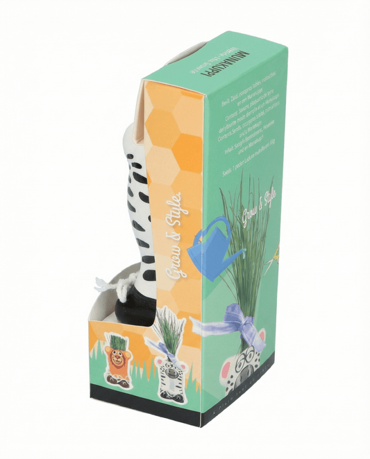 Grass Zebra (Lolium multiflorum) – kasvupakkauksen siemenet SeedsChoice-verkkokaupasta
