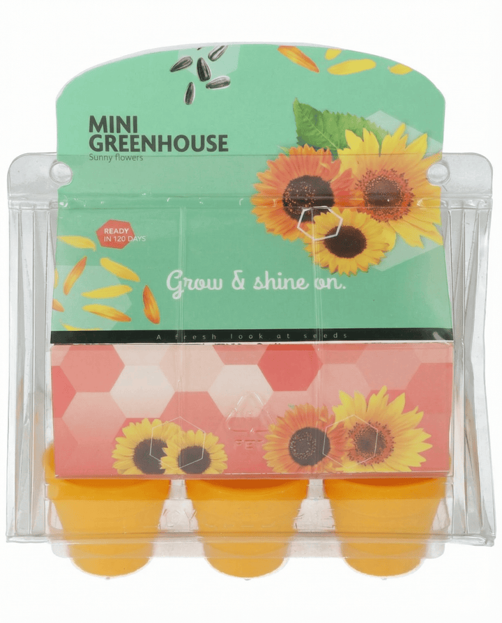 Auringonkukka Mini Greenhouse Pot siemenet (Helianthus annuus) – kasvupakkaus