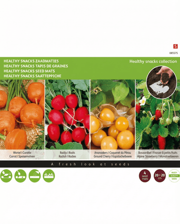 Healthy Snacks Mats 4 20x20 Cm siemenet (Daucus carota) – siemenmatot
