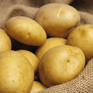 True Potato Soltastic F1 -siemenet (Solanum tuberosum) – yksivuotinen vihannes