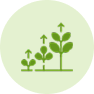Full Growth Height