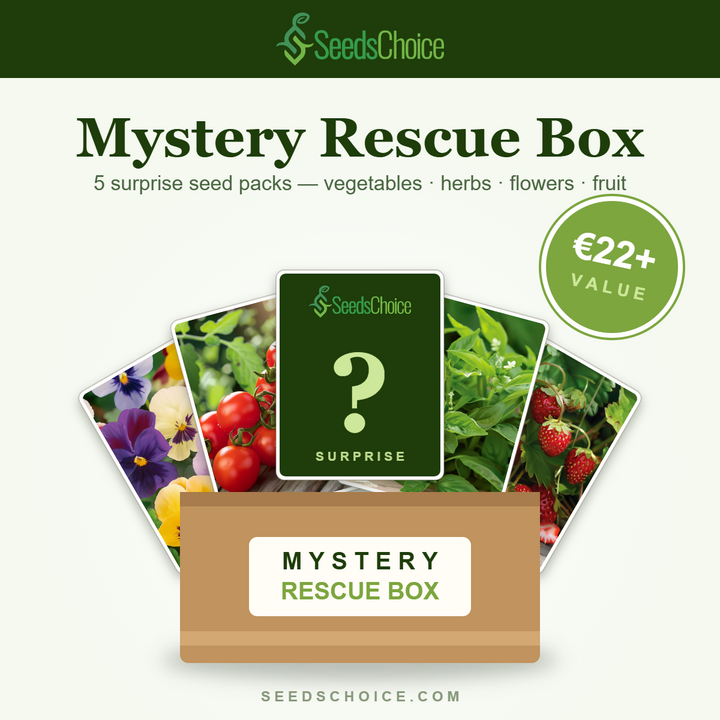 SeedsChoice Mystery Box — yllätyssekoitus vihannes-, yrtti-, kukka- ja hedelmäsiemeniä