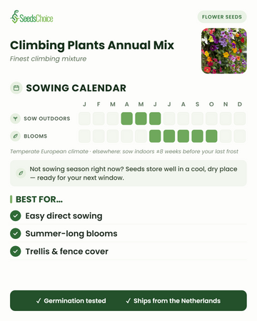 Kylvökalenteri Climbing Plants Annual Mix -seokselle lauhkeassa eurooppalaisessa ilmastossa: kylvä suoraan maahan huhtikuusta kesäkuuhun, kukinta kesäkuusta lokakuuhun; siemenet säilyvät hyvin seuraavaan kylvökauteen
