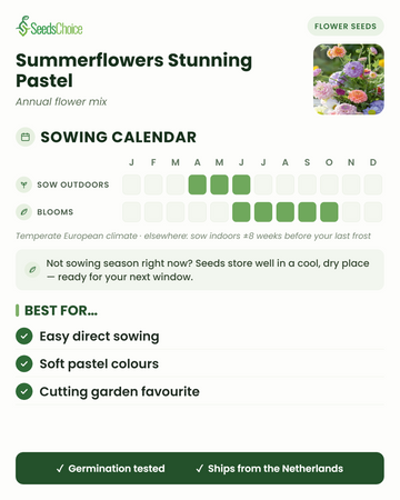 Kylvökalenteri Summerflowers Stunning Pastel -seokselle lauhkeassa eurooppalaisessa ilmastossa: kylvä suoraan maahan huhtikuusta kesäkuuhun, kukinta kesäkuusta lokakuuhun; siemenet säilyvät hyvin seuraavaan kylvökauteen